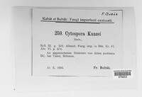 Cytospora kunzei image